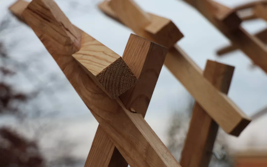 [non-standard] Mass Timber Architecture